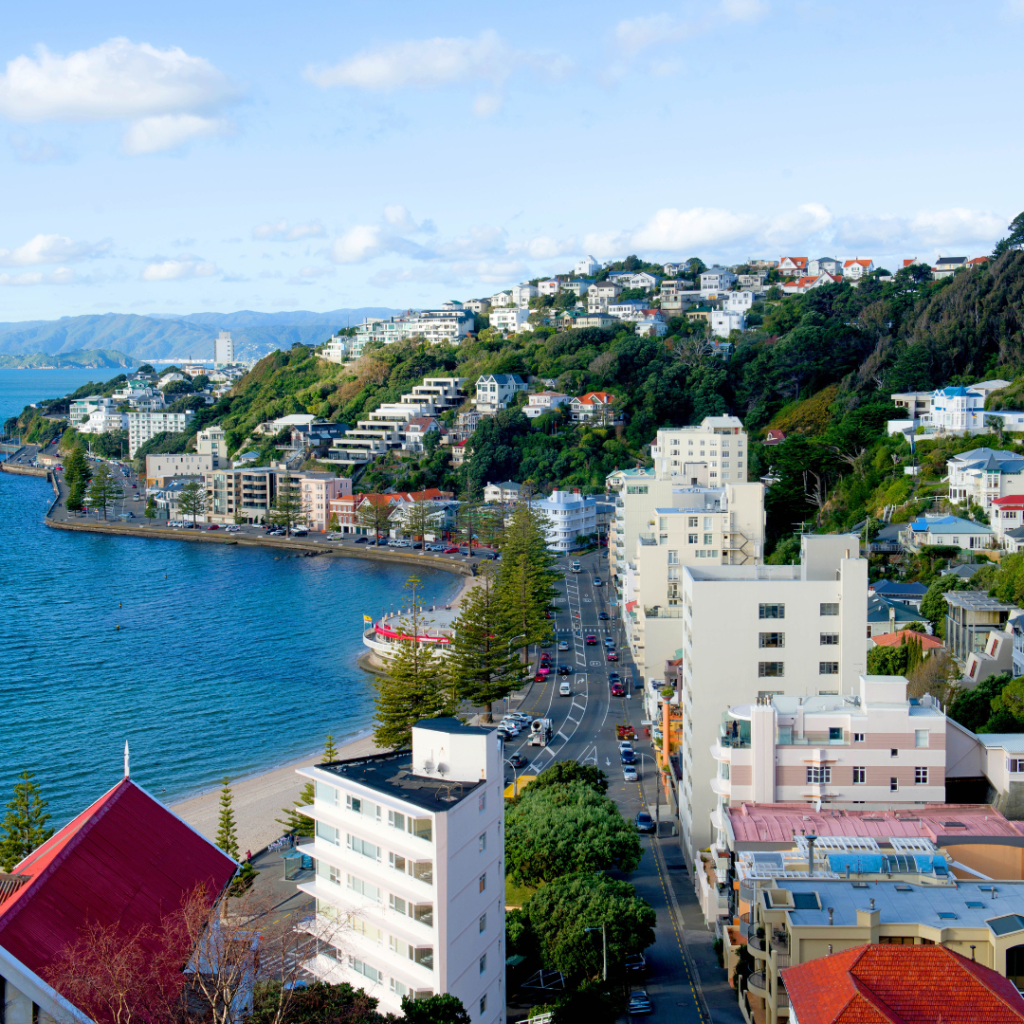 Immigration Assistance | Study Abroad | Canada | UK | Europe | Australia | Investor Visa | Tourist Visa | PR
