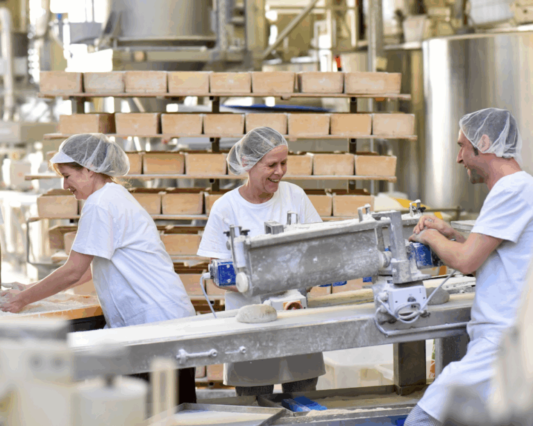 Immigration Assistance | Study Abroad | Canada | UK | Europe | Australia | Investor Visa | Tourist Visa | PR