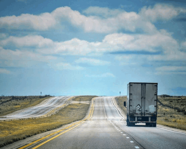 Immigration Assistance | Study Abroad | Canada | UK | Europe | Australia | Investor Visa | Tourist Visa | PR