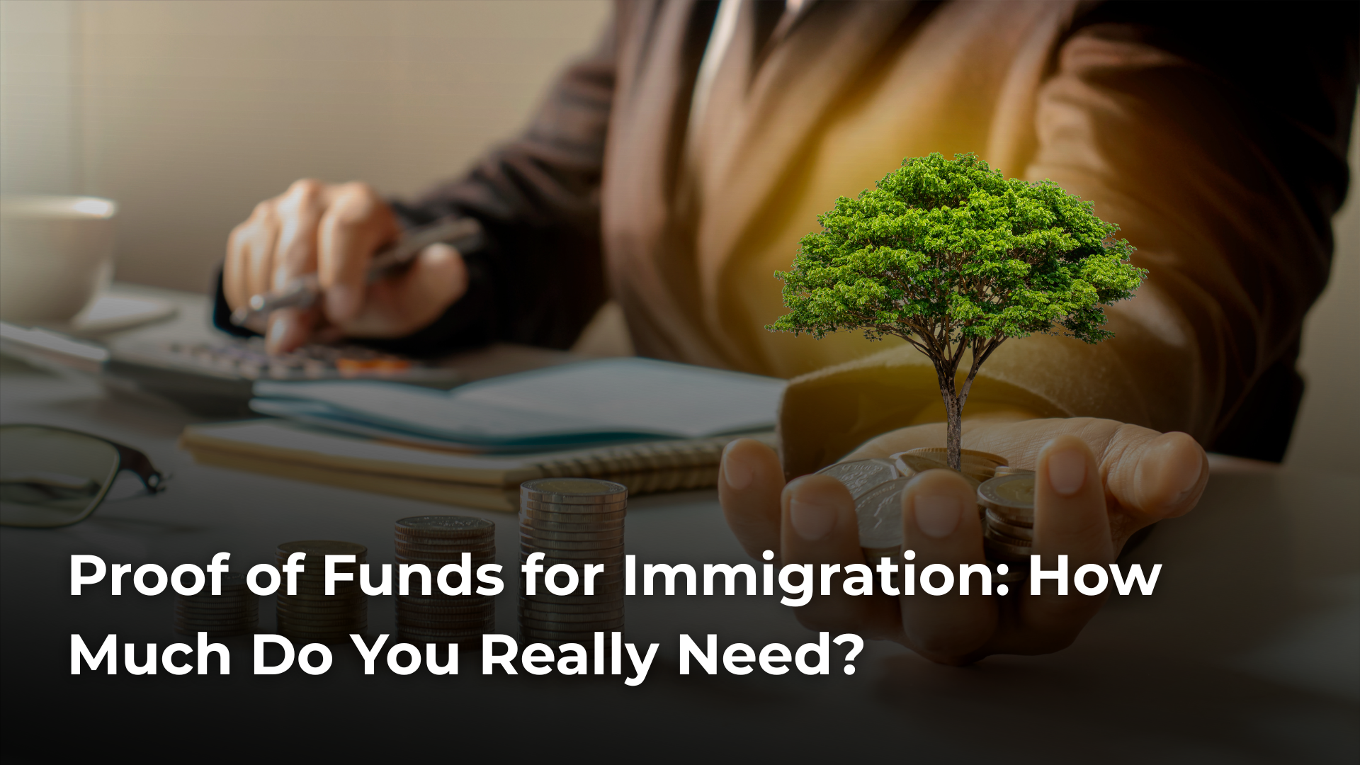 Read more about the article Proof of Funds for Immigration: How Much Do You Really Need?