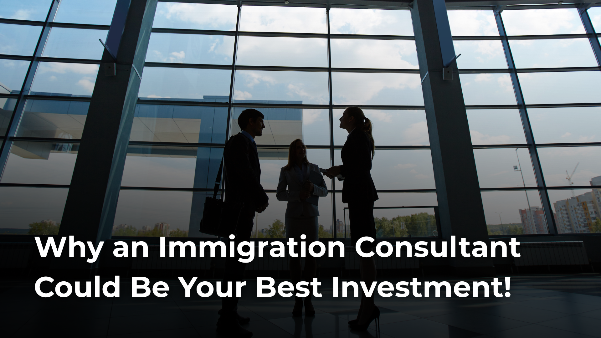 Read more about the article Why an Immigration Consultant Could Be Your Best Investment!